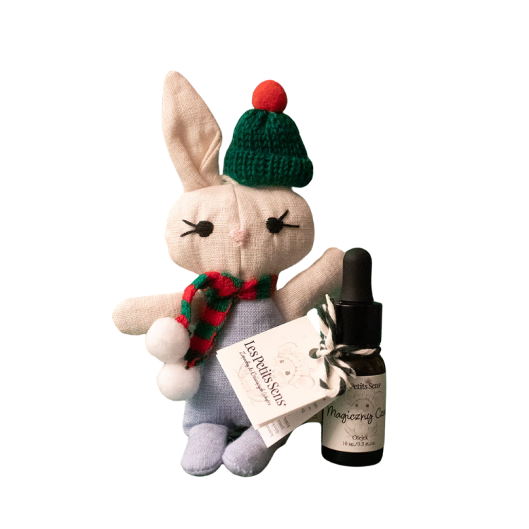 Projekt bez nazwy.png